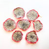 Dehydrated White Dragon Fruit